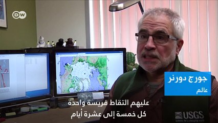 لقطات مؤلمة لدببة تكافح من أجل البقاء وسط ذوبان الجليدجميع المحتوياتDW01