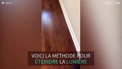 Faites éteindre la lumière à votre chat!