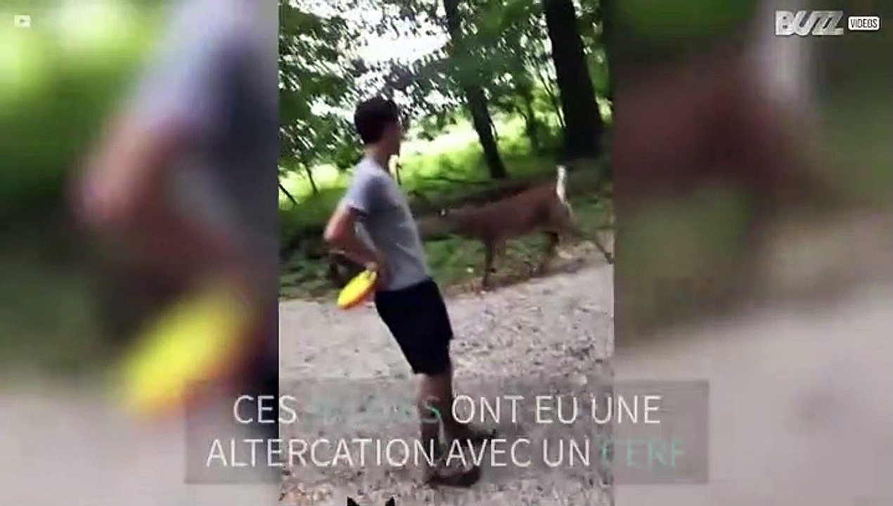 Un cerf passe à l'attaque dans l'Ohio!