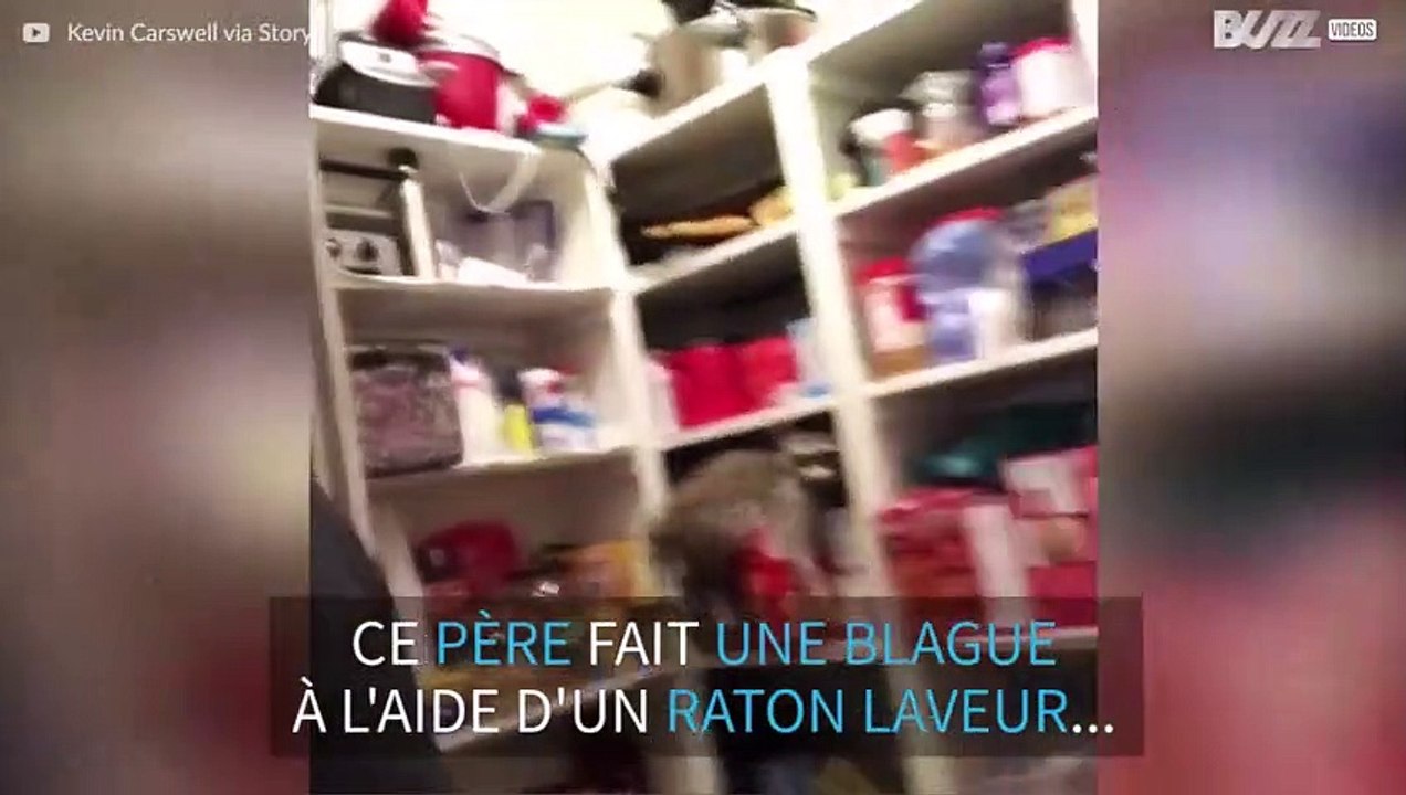 Un père effraie sa fille grâce à un raton laveur empaillé