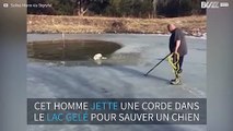Un chien tombé dans un lac gelé mord sur une corde pour s'en sortir