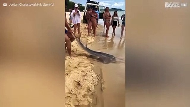 Cet homme attrape un poisson à mains nues!