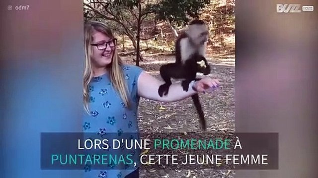 Une touriste attaquée par des singes au Costa Rica