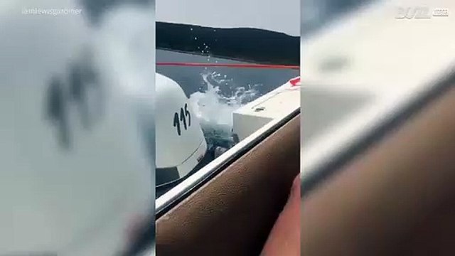 Un groupe d'amis filme ses aventures à Chypre
