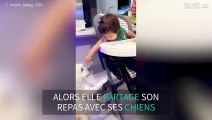 Ce bébé partage son repas avec ses chiens