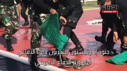 Descargar video: جنود إندونيسيون يشربون دماء الأفاعي أمام وزير الدفاع الأميركي