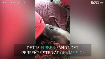 Un prof de sport invente un défi pour faire bouger les plus jeunes