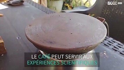 Il reproduit l'effet Leidenfrost avec des gouttes de café