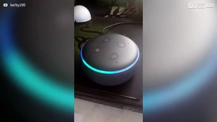 Un mec est friend-zoné par Alexa pendant la Saint-Valentin