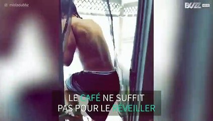 De bon matin, il plonge dans la neige pour se réveiller