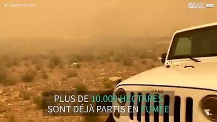 Un feu dévastateur brûle 10.000 hectares dans l'Utah
