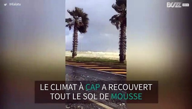 Une tempête recouvre de mousse la ville de Cap