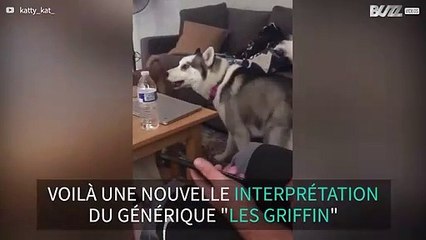 Cet husky aime chanter le générique de la série "Les Griffin"