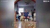 Ces chiens donnent tout pour un concours de nourriture