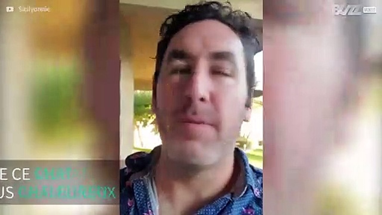 Ce chat a un très mauvais caractère