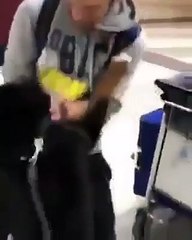 كلب يستقبل صاحبه في مطار بيروت بطريقة أشعلت مواقع التواصل