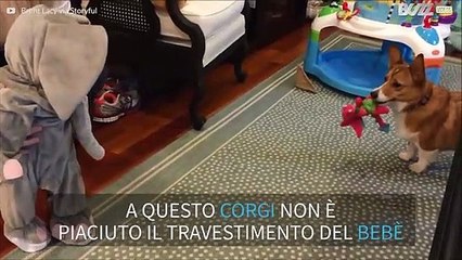 Bebè travestito da elefante spaventa il cane