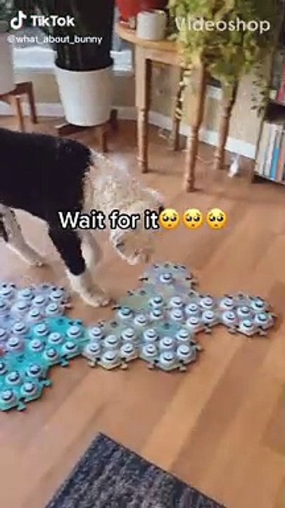 Wait for the next