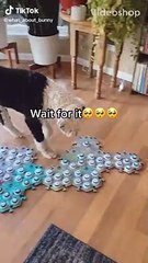 Wait for the next
