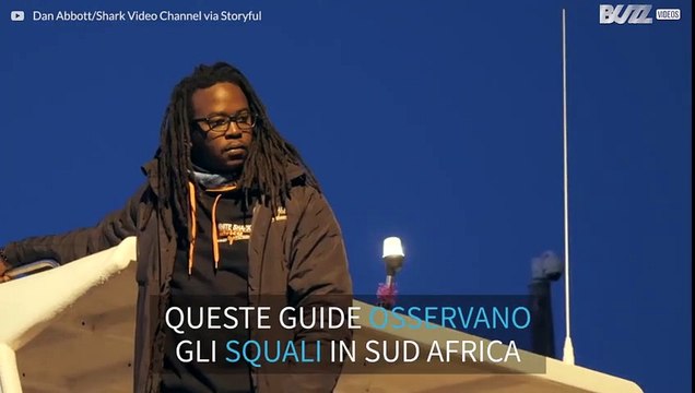 Super salto di un enorme squalo bianco in Sud Africa