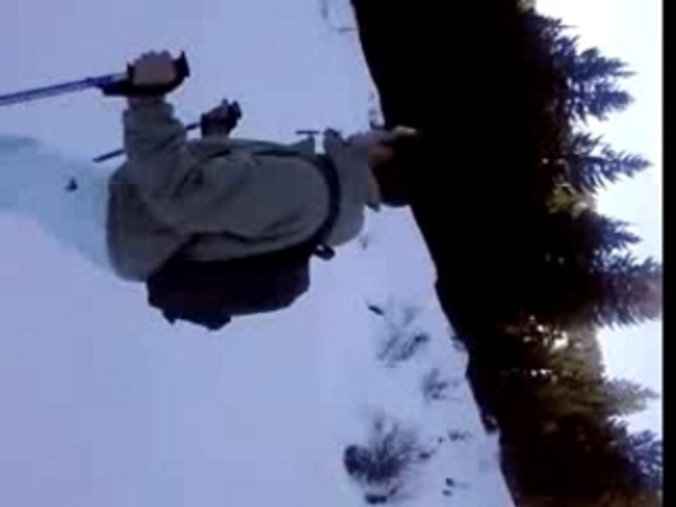 Ski