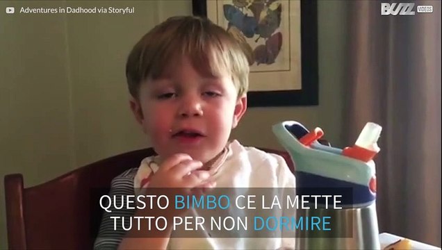 Mangiare o dormire? Questo è il dilemma!