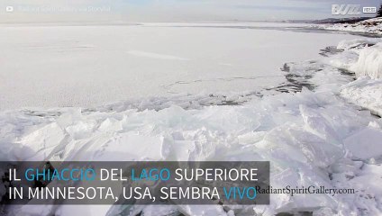 USA: il ghiaccio del lago che prende vita!