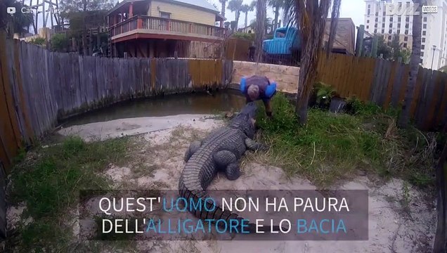 Momento di tensione: uomo bacia alligatore!