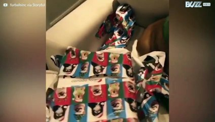 Gli animali e il loro spirito natalizio!