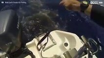 Pescatori incontrano un banco di squali