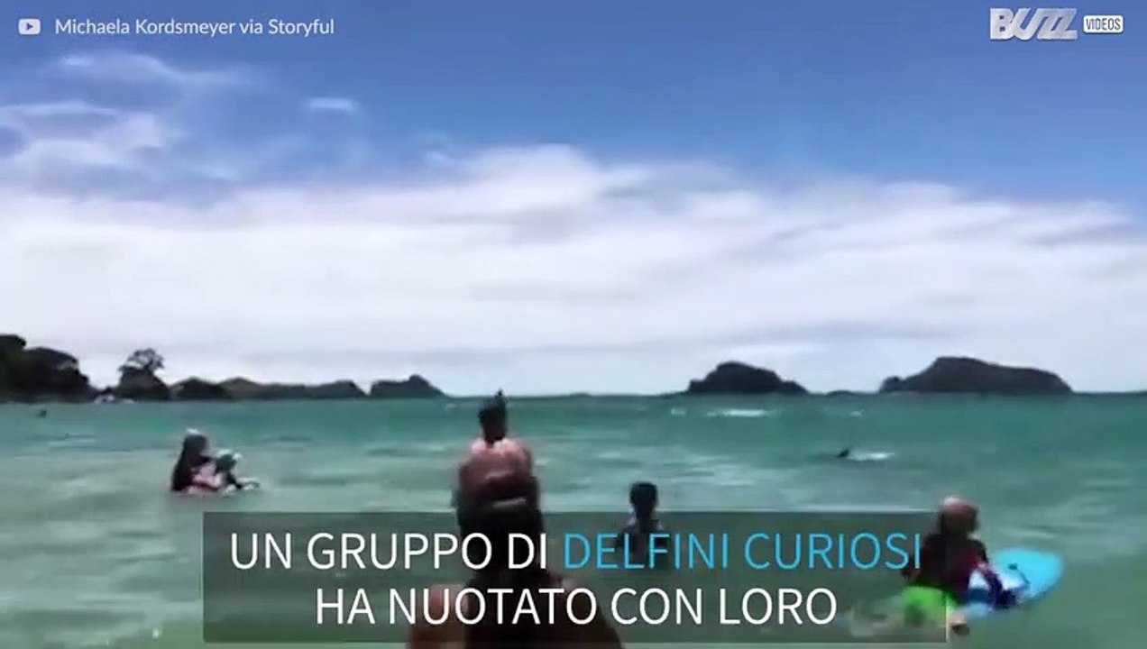 Delfini giocherelloni nuotano con i bagnanti