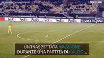 Cane invade il campo di una partita di calcio