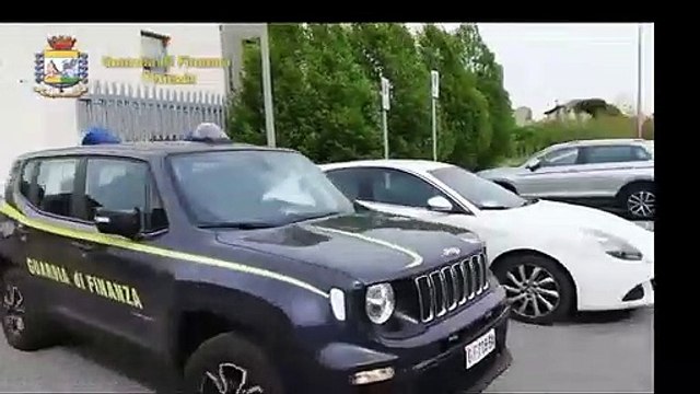 Traffico di animali, salvati 13 cuccioli di maltese nel Veneziano (11.03.21)