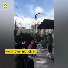 رجل يحاول الانتحار بالقفز من أعلى شجرة