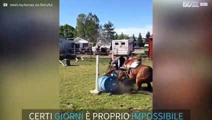 Il cavallo che non se la sentiva di superare gli ostacoli...