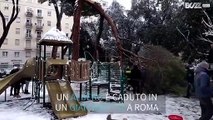 Roma: albero cade pericolosamente in un parco giochi