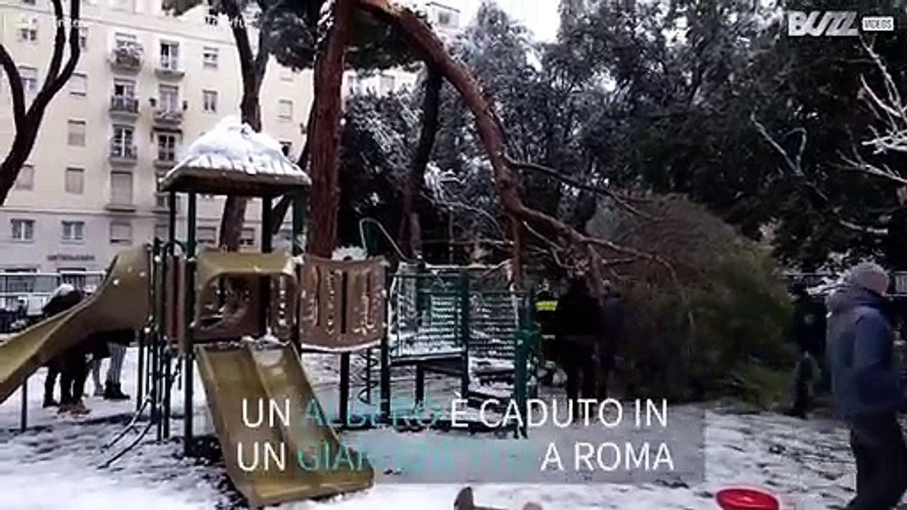 Roma: albero cade pericolosamente in un parco giochi