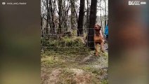 Cane salta la recinzione in slow-motion