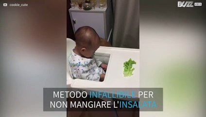 Il bimbo non vuole l'insalata e la fa mangiare al cane