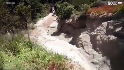 Anche sbagliando, questo motociclista ha centrato un obiettivo