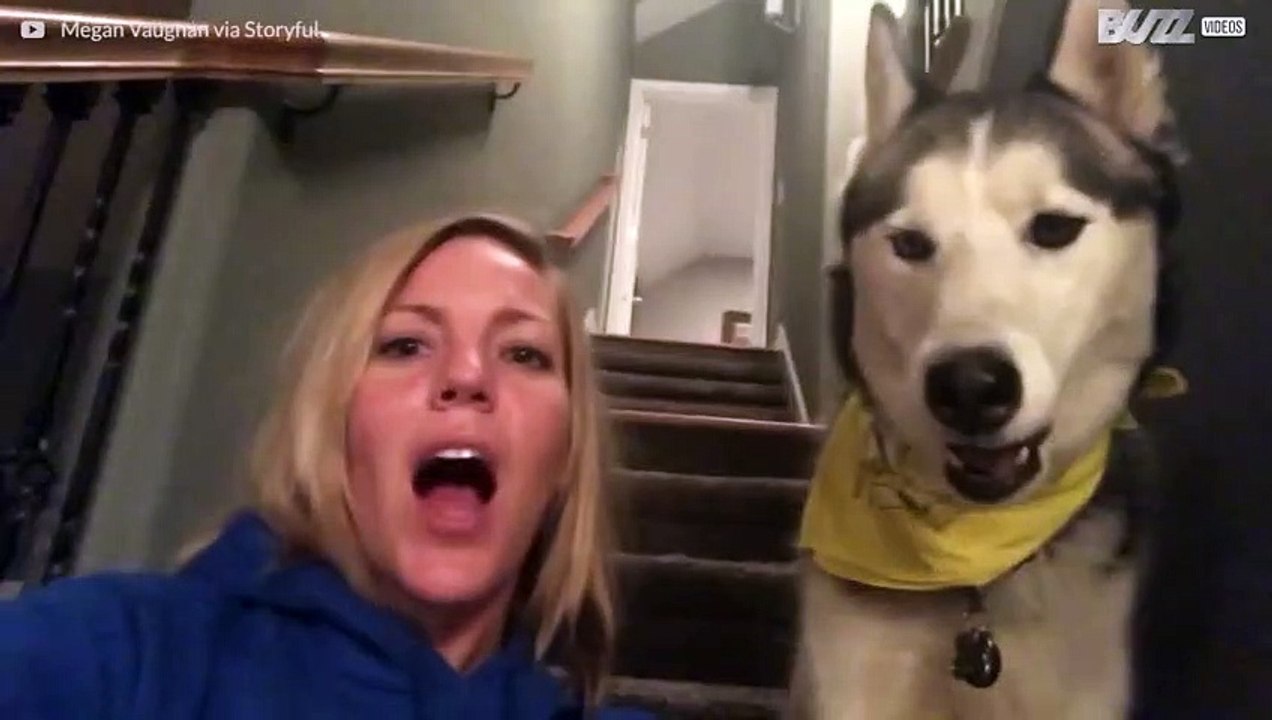 Un cane che parla e dice 'I love you'!