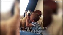 La tenera amicizia tra un bambino e il suo cane