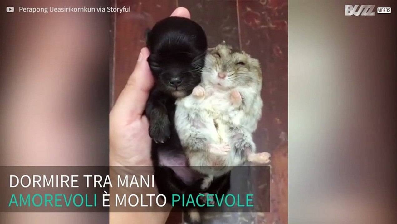 Come si dorme bene tra mani amorevoli