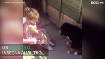 Tenera bimba insegna al cucciolo a dare la zampa