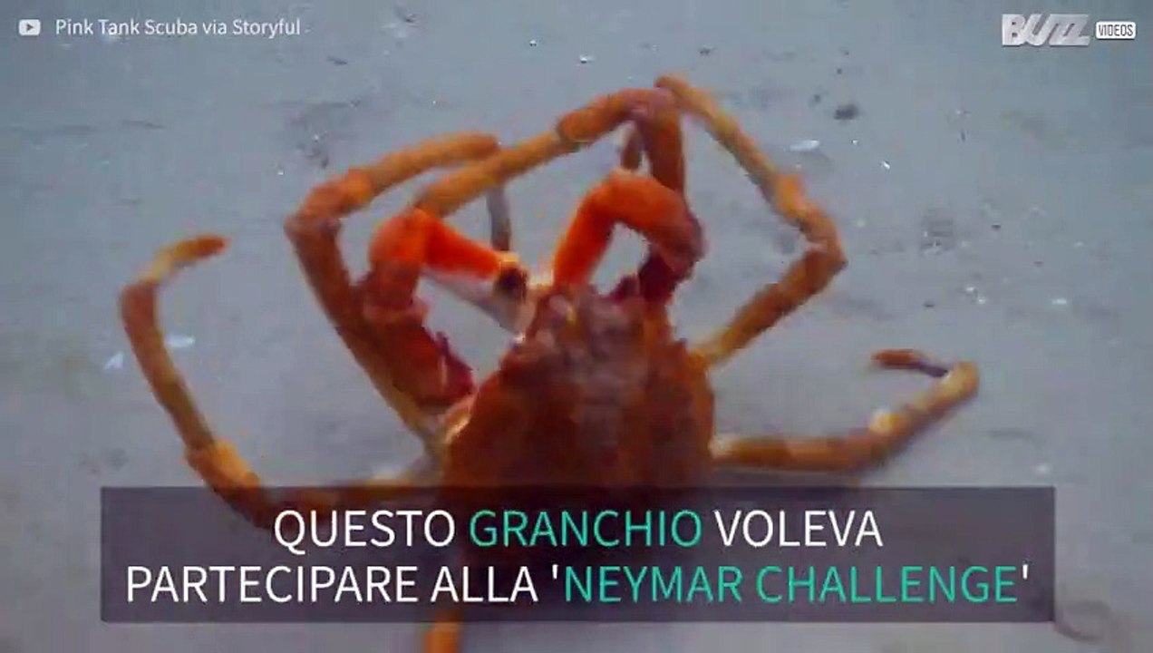 Ecco il Neymar degli oceani