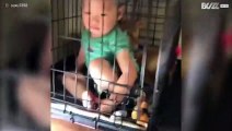 Bimbo dentro la gabbia insieme al cane