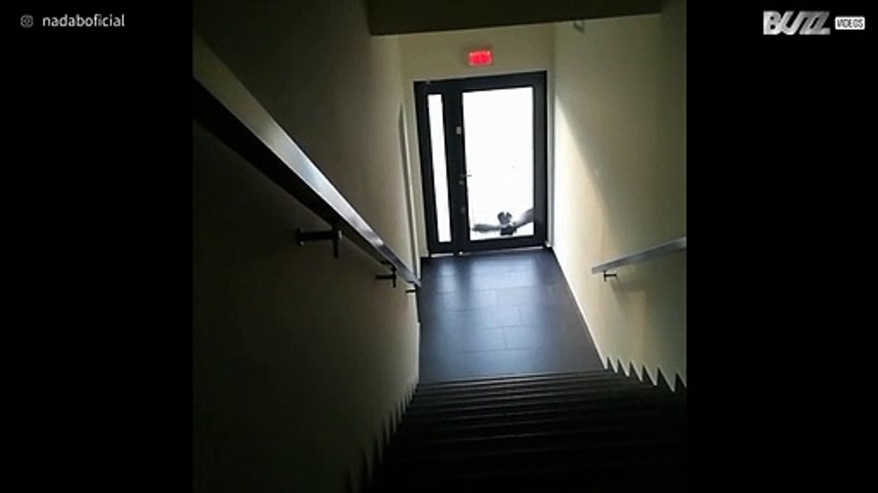 Corvo arrabbiato vuole sfondare la porta di vetro