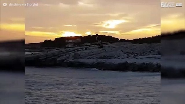 Sorvola le acqua a bordo di un Hover Board