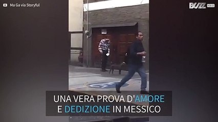 Cagnolino va al ritmo dell'anziano padrone