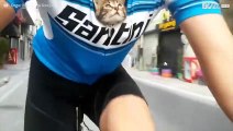 Ciclista trova gattino abbandonato e lo porta con sé dentro la maglia